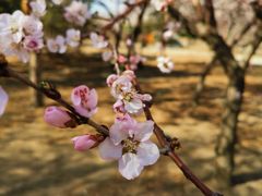 -长春公园(普阳街道)