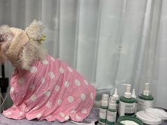 -爱派特动物医院·全科诊疗中心