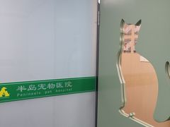 -半岛宠物医院24小时(科华中路店)