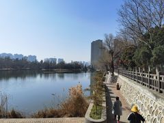 -渭滨公园