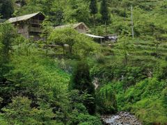 -鹿院坪生态旅游景区