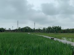 -永定河休闲森林公园