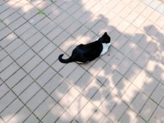 -东北师范大学(净月大街校区)