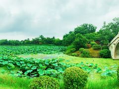 -桃花岛景观公园