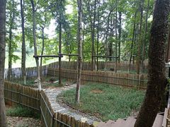 -象山森林公园