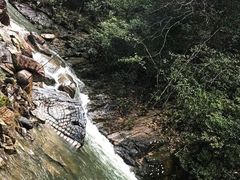 -九龙江国家森林公园