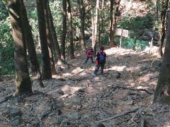 -火炉山森林公园