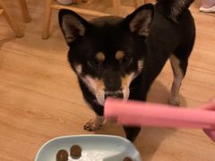-柴の食堂·日式家庭料理·熊之肆(大学路店)