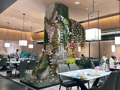 -阿露佳·舌尖上的安吉菜