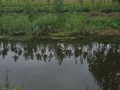 -森林公园(尖草坪区)