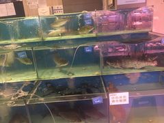 -blt精品超市(KKMALL京基店)
