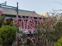 -有喜胶东小馆(超极合生汇太申祥和店)