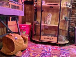 -青木造型HAIR·あおき髪を刈る潮人店