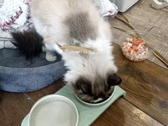 -eleven青年旅舍(成都春熙路店)