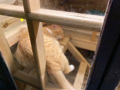 -上合花园花园烧烤(贵阳店)