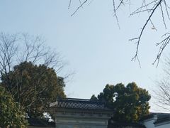 -东山雕花楼