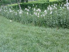 -朝阳公园游乐园