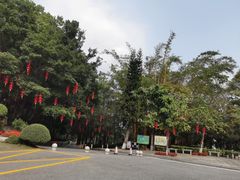 -广州市流溪河国家森林公园