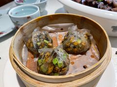 翡翠黑松露饺-维园悦谱·海派家常菜(乌鲁木齐南路店)