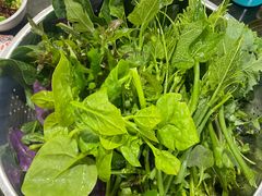 -黔府豆米火锅野菜馆(南马店)