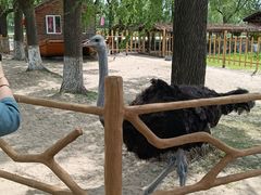 -白渔泡湿地公园