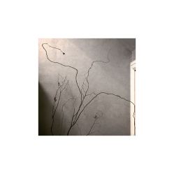 -極致刺青TATTOO STUDIO 私人订制