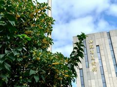 -江苏省美术馆(长江路新馆)
