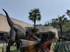 -自贡恐龙博物馆