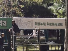 -黄海国家森林公园