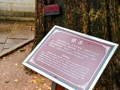 -青岛崂山太清宫