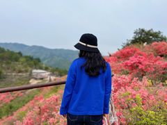 -木兰云雾山
