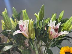 -何兮花店·气球派对鲜花店(马桥银春路万科城店)
