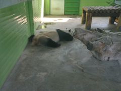 -石家庄市动物园