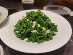 大扁仁丝瓜尖-新乾隆酒楼(帝景园店)