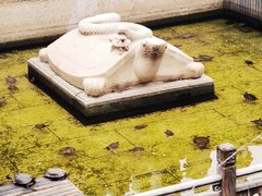 -佛山市祖庙博物馆