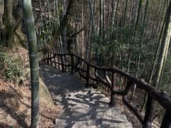 -四明山国家森林公园
