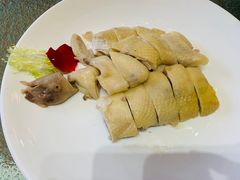 -雅盛品931海鲜酒家
