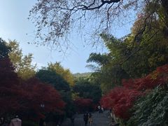 -岳麓山风景名胜区