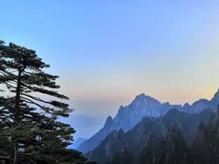 -黄山排云型旅酒店餐厅