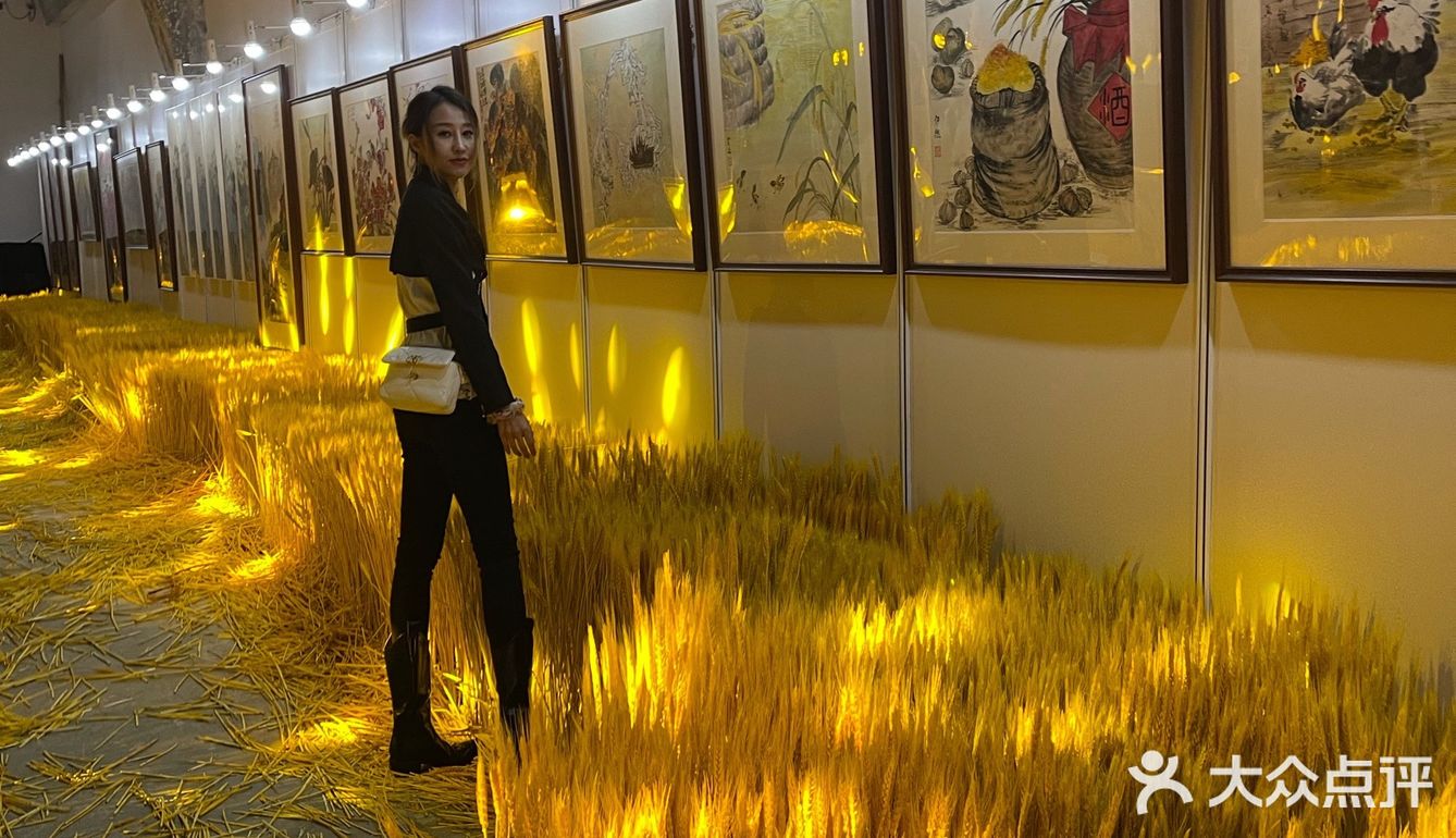 福临门大丰收不一样的玉米展