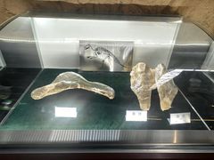 -诸城市恐龙博物馆