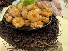 -丁老爷子苏香圆