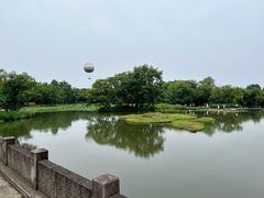 -西溪国家湿地公园