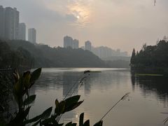 -重庆彩云湖湿地公园