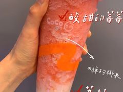 -CoCo都可(嘉兴学院店)