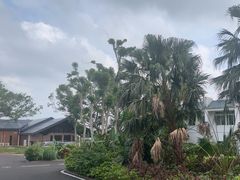 -东寨港红树林旅游区