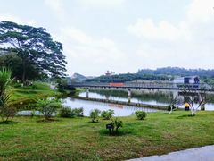 -东莞植物园