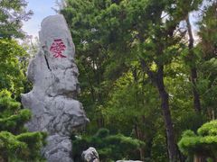 -东湖落雁景区