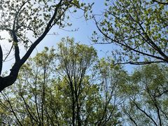 -石家庄市植物园