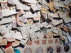 -猫小院猫主题咖啡厅(北锣店)